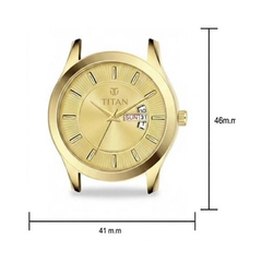 Titan Men’s Brown Leather Strap Analog Watch | Champagne Dial Gold-Tone Premium Wrist Watch